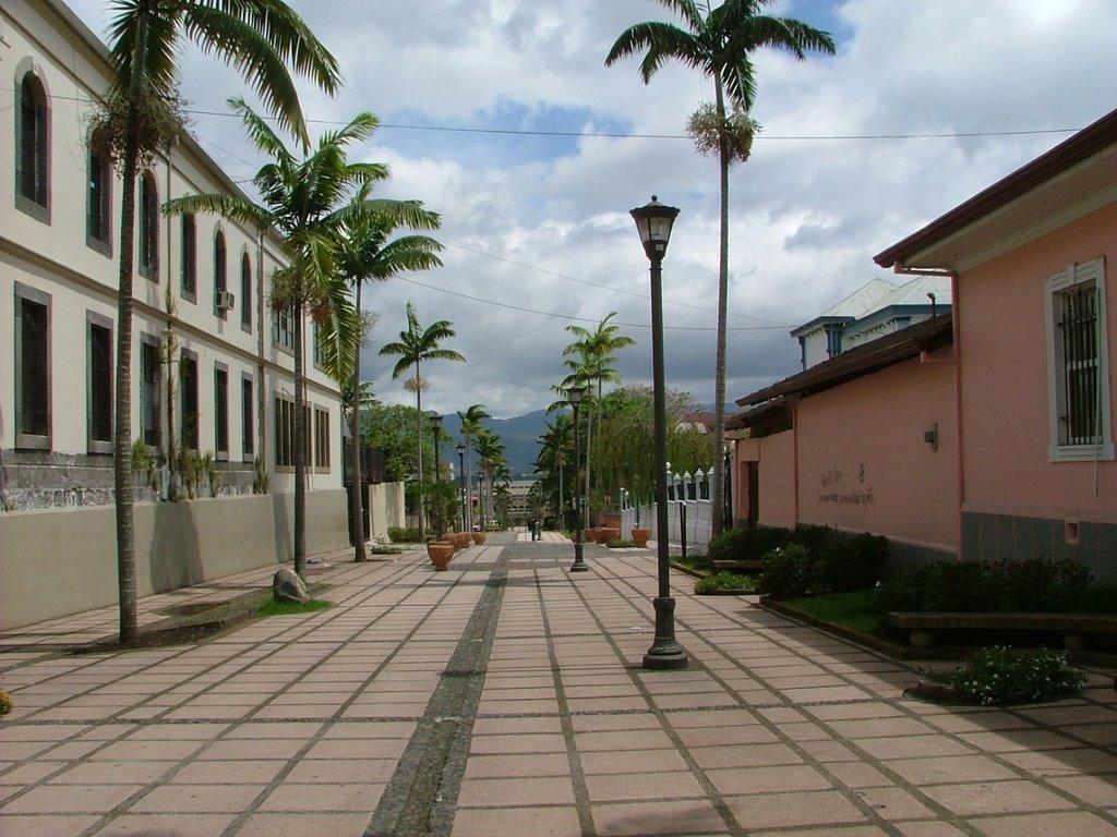 Hotel Bristol San Jose  Luaran gambar