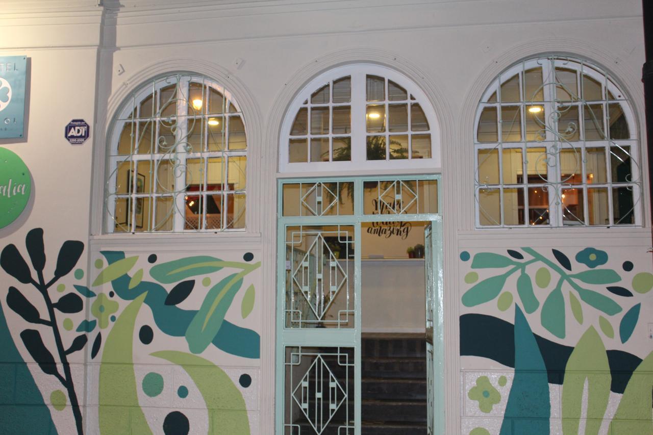 Hotel Bristol San Jose  Luaran gambar